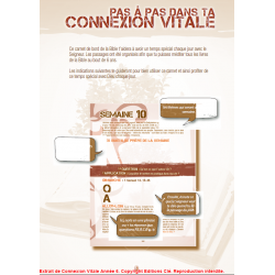 Connexion Vitale - année 6 - Collectif - Livre des Éditions Clé