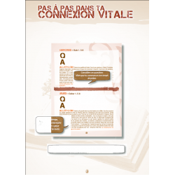 Connexion Vitale - année 6 - Collectif - Livre des Éditions Clé