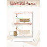 Connexion Vitale - année 6 - Collectif - Livre des Éditions Clé