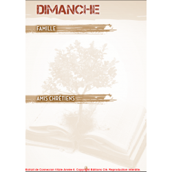 Connexion Vitale - année 6 - Collectif - Livre des Éditions Clé