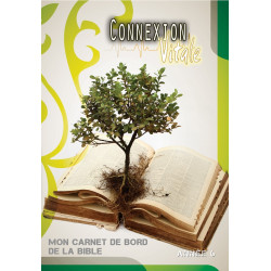 Connexion Vitale - année 6 - Collectif - Livre des Éditions Clé